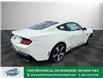 2025 Ford Mustang GT Premium (Stk: MG06406) in Windsor - Image 7 of 26