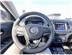 2022 Jeep Cherokee Trailhawk (Stk: DS25250A) in Stratford - Image 15 of 24
