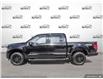 2025 Ford F-150 XLT (Stk: 25F1680) in St. Catharines - Image 3 of 24