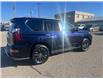 2020 Lexus GX 460 Base (Stk: CP12383) in Chatham - Image 4 of 13
