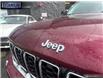 2023 Jeep Grand Cherokee Limited (Stk: 523721) in Langley BC - Image 9 of 25