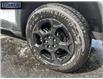 2023 Jeep Compass Trailhawk (Stk: 557240) in Langley BC - Image 6 of 25