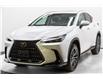 2025 Lexus NX 350 Base (Stk: 084371) in Brampton - Image 1 of 24