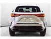 2025 Lexus NX 350 Base (Stk: 084371) in Brampton - Image 11 of 24