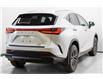 2025 Lexus NX 350 Base (Stk: 084371) in Brampton - Image 9 of 24