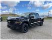 2025 Ford F-150 XLT (Stk: 5T0757) in Cardston - Image 1 of 13