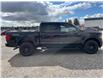 2025 Ford F-150 XLT (Stk: 5T0757) in Cardston - Image 6 of 13