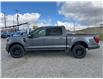 2025 Ford F-150 XLT (Stk: 5T5459) in Cardston - Image 2 of 13
