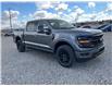 2025 Ford F-150 XLT (Stk: 5T5459) in Cardston - Image 7 of 13
