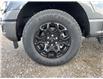 2025 Ford F-150 XLT (Stk: 5T5459) in Cardston - Image 9 of 13