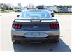 2025 Ford Mustang GT Premium (Stk: MU251) in Harrow - Image 7 of 18