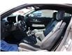 2025 Ford Mustang GT Premium (Stk: MU251) in Harrow - Image 9 of 18