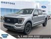 2023 Ford F-150 Platinum (Stk: SK-128A) in Okotoks - Image 1 of 24