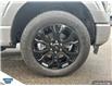 2023 Ford F-150 Platinum (Stk: SK-128A) in Okotoks - Image 6 of 24