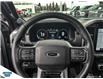 2023 Ford F-150 Platinum (Stk: SK-128A) in Okotoks - Image 12 of 24