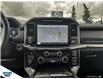 2023 Ford F-150 Platinum (Stk: SK-128A) in Okotoks - Image 17 of 24