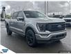 2023 Ford F-150 Platinum (Stk: SK-128A) in Okotoks - Image 24 of 24