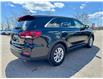 2020 Kia Sorento 2.4L LX+ (Stk: 4-P294) in Bowmanville - Image 5 of 37