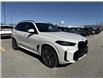 2024 BMW X5 xDrive40i (Stk: XU760) in Sarnia - Image 4 of 4