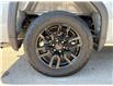 2024 GMC Sierra 1500 Elevation (Stk: 25-1106A) in Listowel - Image 16 of 45