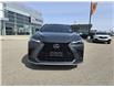 2024 Lexus NX 350 Base (Stk: F0616) in Saskatoon - Image 2 of 24