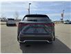 2024 Lexus NX 350 Base (Stk: F0616) in Saskatoon - Image 5 of 24
