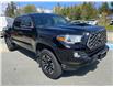 2020 Toyota Tacoma Base (Stk: 25031A) in Port Alberni - Image 7 of 14