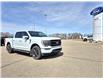 2022 Ford F-150 Lariat (Stk: A35304) in Hague - Image 2 of 15