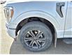 2022 Ford F-150 Lariat (Stk: A35304) in Hague - Image 10 of 15