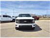 2025 Ford F-150 XLT (Stk: S60529) in Hague - Image 3 of 15