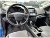 2019 Ford Escape SE (Stk: 57F08538A) in Penticton - Image 13 of 18