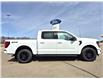 2025 Ford F-150 XLT (Stk: S81789) in Hague - Image 1 of 15