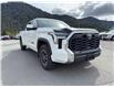 2024 Toyota Tundra SR5 (Stk: P2161) in PRINCE RUPERT - Image 3 of 13