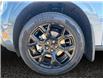 2025 Ford Maverick XLT (Stk: 25T056) in ROCKY MOUNTAIN HOUSE - Image 14 of 15