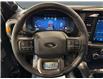2025 Ford F-150 Tremor (Stk: S9649) in ROSETOWN - Image 14 of 17