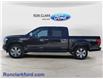 2019 Ford F-150 Platinum (Stk: 16493L-1) in Wyoming - Image 4 of 15