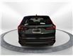 2025 Honda CR-V Hybrid EX-L (Stk: 3915) in Lethbridge - Image 4 of 24
