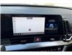 2025 Kia Sportage EX (Stk: SSP6539) in Sherwood Park - Image 14 of 15