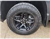 2019 Chevrolet Silverado 1500 LT Trail Boss (Stk: N250106B) in Stony Plain - Image 5 of 47