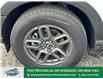 2025 Ford Bronco Sport Big Bend (Stk: BR40008) in Windsor - Image 2 of 27