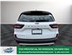 2025 Ford Escape Active (Stk: ES97360) in Windsor - Image 6 of 27
