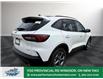 2025 Ford Escape ST-Line (Stk: ES08447) in Windsor - Image 7 of 27