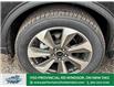 2025 Ford Escape Platinum (Stk: ES14986) in Windsor - Image 2 of 29