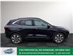 2025 Ford Escape Platinum (Stk: ES14986) in Windsor - Image 9 of 29