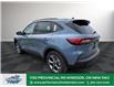 2025 Ford Escape ST-Line (Stk: ES90788) in Windsor - Image 5 of 27