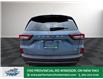 2025 Ford Escape ST-Line (Stk: ES90788) in Windsor - Image 6 of 27