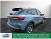 2025 Ford Escape ST-Line (Stk: ES90788) in Windsor - Image 7 of 27
