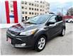 2016 Ford Escape SE (Stk: HPU0221A) in Toronto - Image 1 of 19