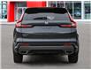 2025 Honda CR-V Hybrid EX-L (Stk: N229153) in Saint John - Image 5 of 23