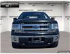 2014 Ford F-150  (Stk: 4F12850B) in Brantford - Image 1 of 11